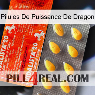 Dragon Power Pills new01